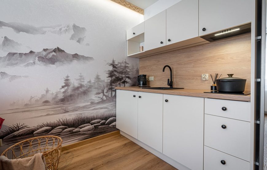 Apartment with Private Bedroom and Mountain View