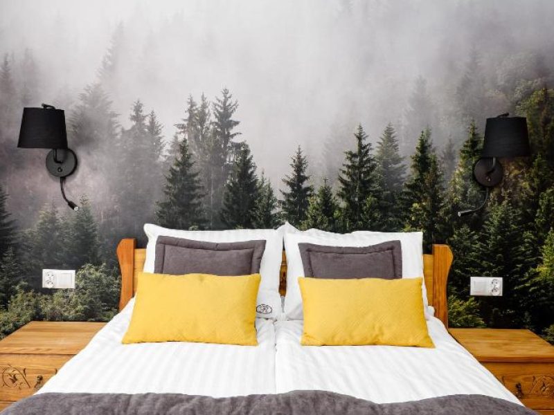 Double Room Standard Plus