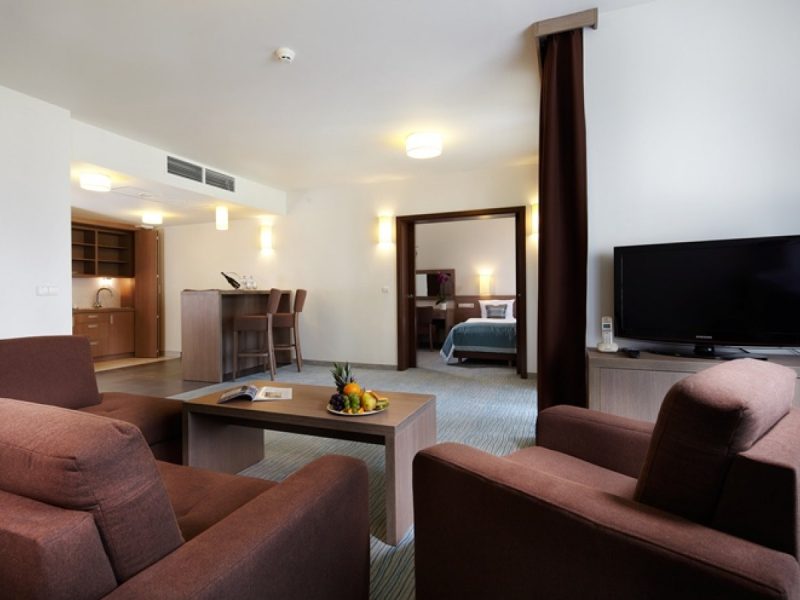 Comfort-plus type apartment