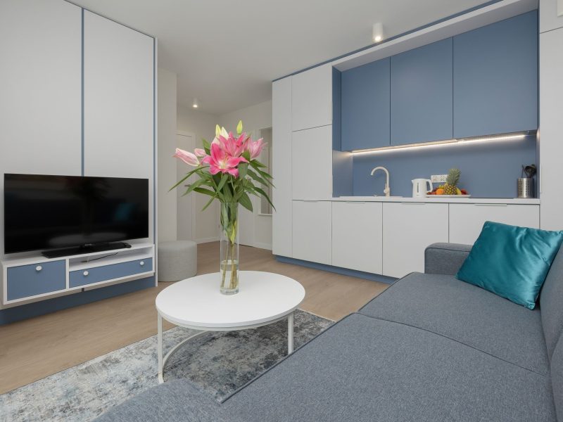 Deluxe SUITE Apartment