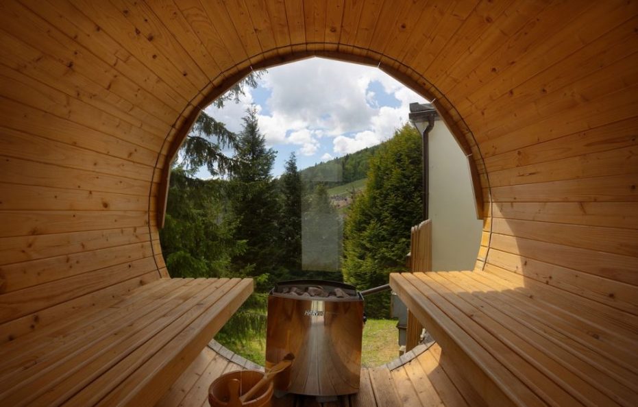 Hotel Pegaz