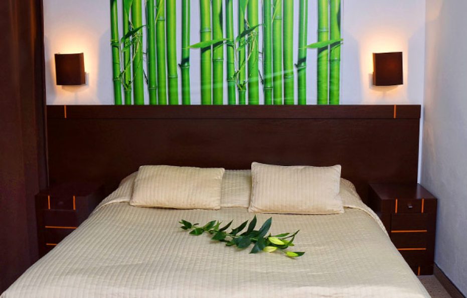 Hotel Stary Tartak