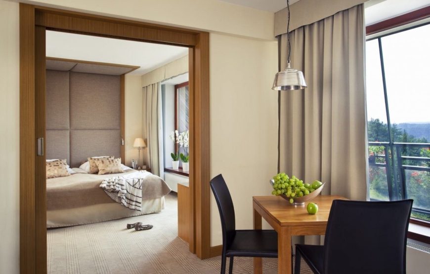 Hotel SPA Dr Irena Eris Krynica Zdrój