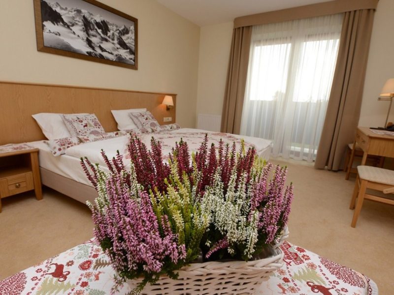 Premium Double Rooms with Mountain View